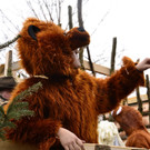 19022012faschingantheringat05004aktivnews_033.jpg