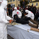 19022012faschingantheringat05004aktivnews_142.jpg