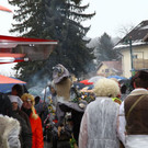 normal_19022012fmt_antheringerfaschingsumzug_mw_36.JPG