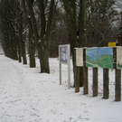 Dreikoenigslauf am See Lochau 2009 _12_.jpg