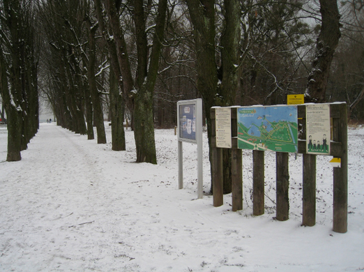 Dreikoenigslauf am See Lochau 2009 _12_.jpg