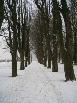 Dreikoenigslauf am See Lochau 2009 _14_.jpg