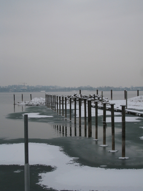 Dreikoenigslauf am See Lochau 2009 _19_.jpg