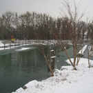 Dreikoenigslauf am See Lochau 2009 _25_.jpg