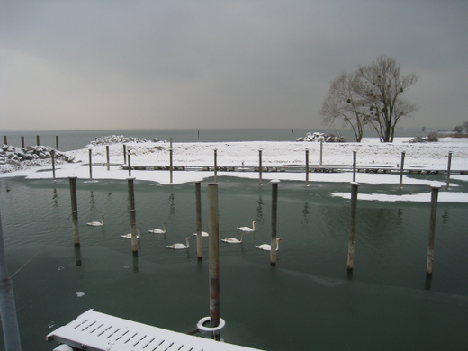 Dreikoenigslauf am See Lochau 2009 _28_.jpg