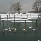 Dreikoenigslauf am See Lochau 2009 _29_.jpg