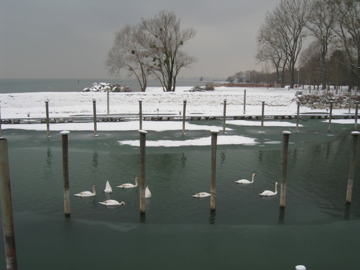 Dreikoenigslauf am See Lochau 2009 _29_.jpg