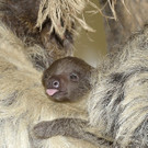 ABD0005-20120221.jpg