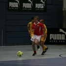 normal_02012010stiertaaktivnews_005.jpg