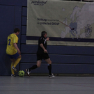 normal_02012010stiertaaktivnews_026.jpg