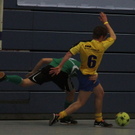 normal_02012010stiertaaktivnews_040.jpg