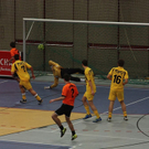 normal_02012010stiertaaktivnews_060.jpg
