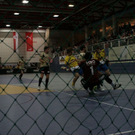 normal_02012010stiertaaktivnews_078.jpg