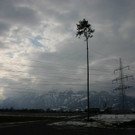 IMG_9823.JPG