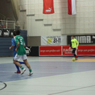 normal_030110stier2gaaktivnews_14.jpg