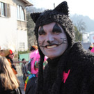 Bilder vom Umzug in Schwarzach