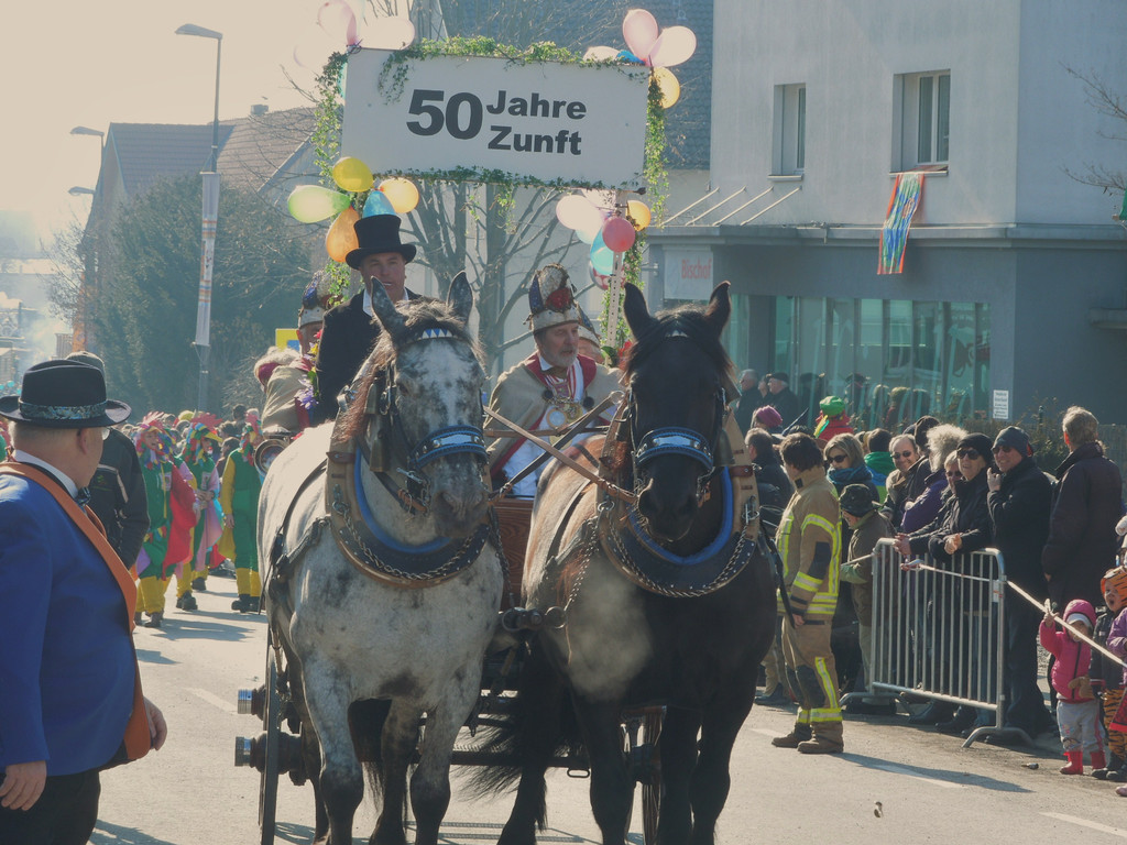 Fasching 016.JPG