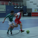 normal_030110stier2gaaktivnews_74.jpg