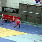 normal_03012009stiertag3taaktivnews_001.jpg
