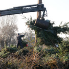 Fu__ach Funkenbau 21_02_2012 233_jpg-1329843385