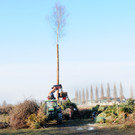 Fu__ach Funkenbau 21_02_2012 240_jpg-1329843393