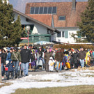 IMG_5029_JPG-1329846591