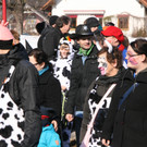IMG_5037_JPG-1329846648