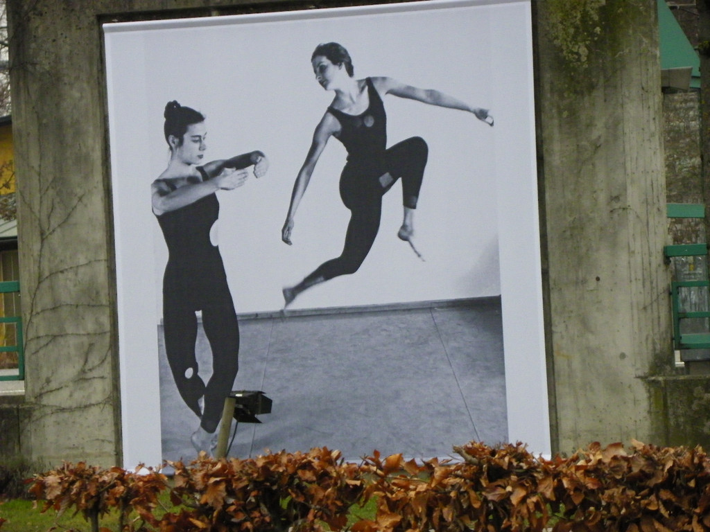 113_6969_JPG-1329865073