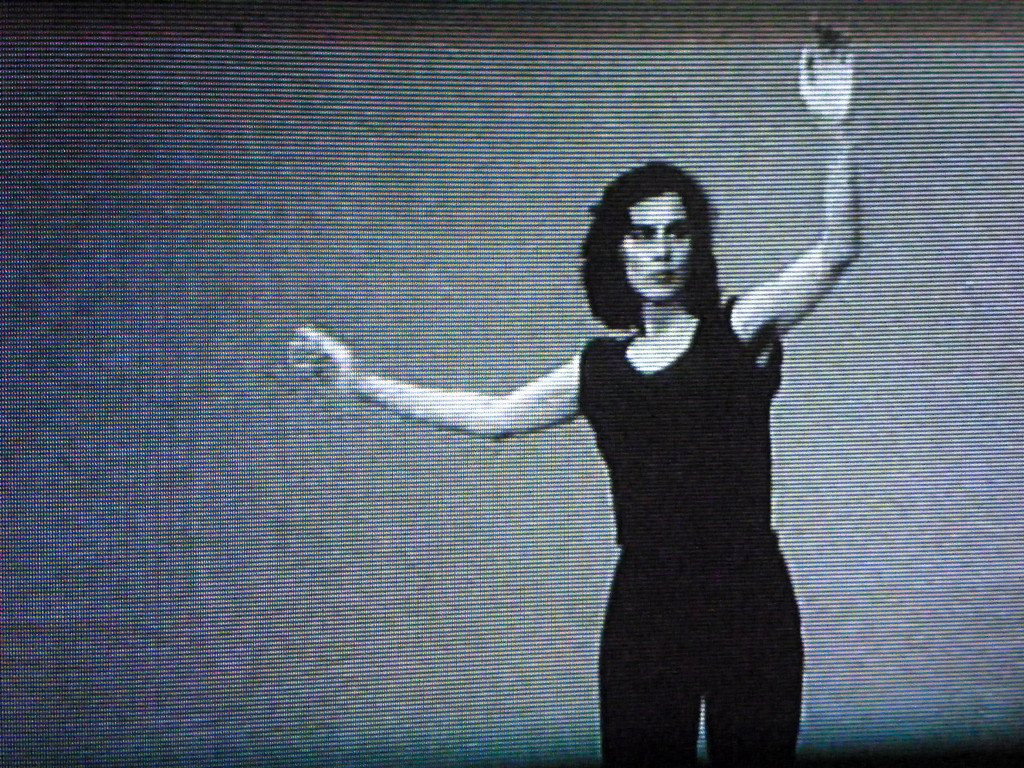 113_7879_JPG-1329865128