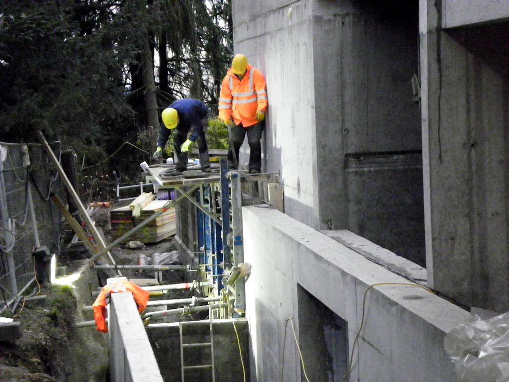 113_6658_JPG-1329865583