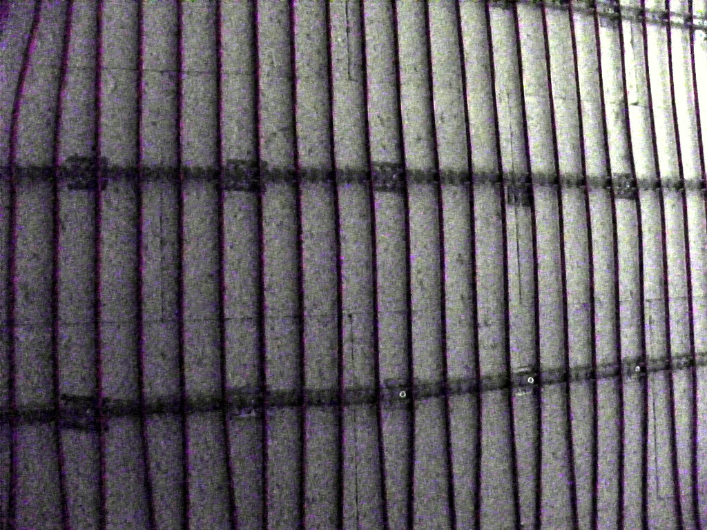 113_7006_JPG-1329867498