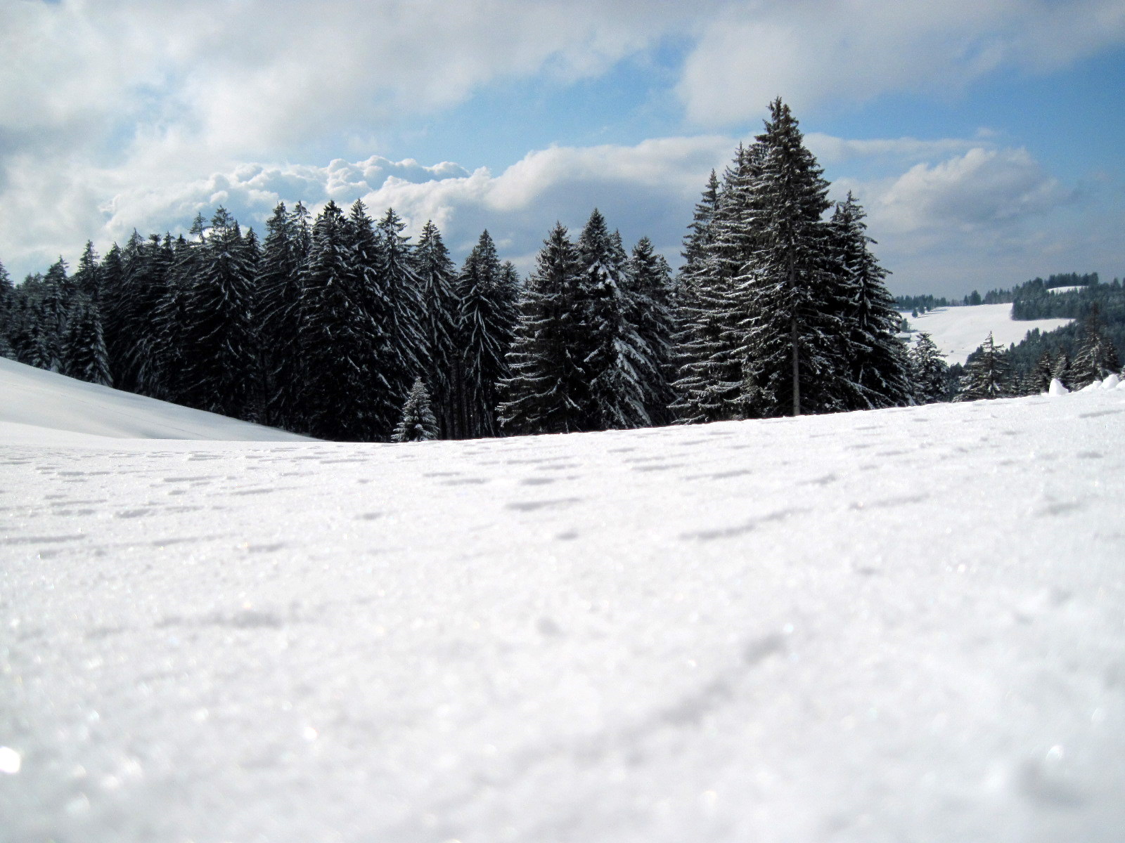 IMG_0552_JPG-1329867958