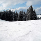 IMG_0552_JPG-1329867958