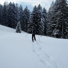 IMG_0559_JPG-1329867979