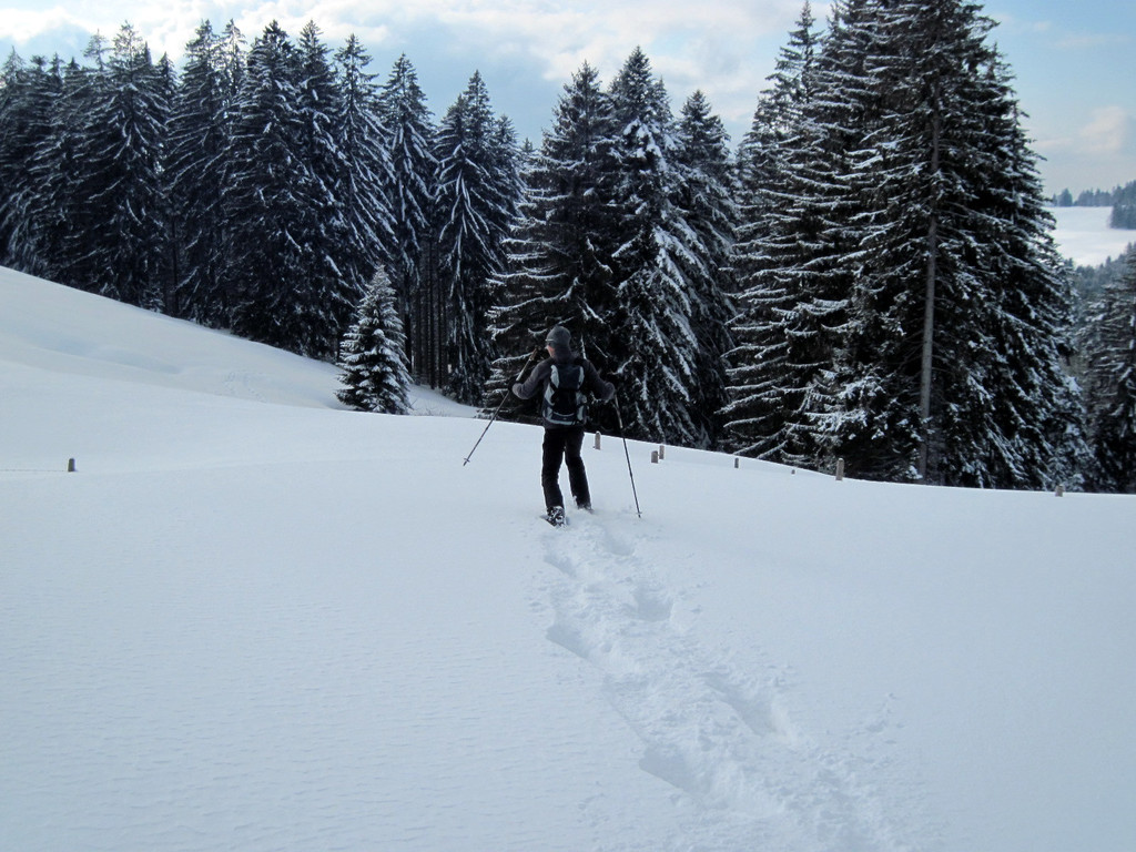 IMG_0559_JPG-1329867979