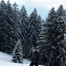 IMG_0560_JPG-1329867987