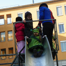 113_8566_JPG-1329869770