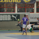 05012010stiertag4dhaktivnews_039.jpg