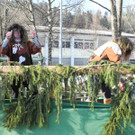 DSCN0457_jpg-1329891441