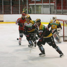VGY_8427.JPG
