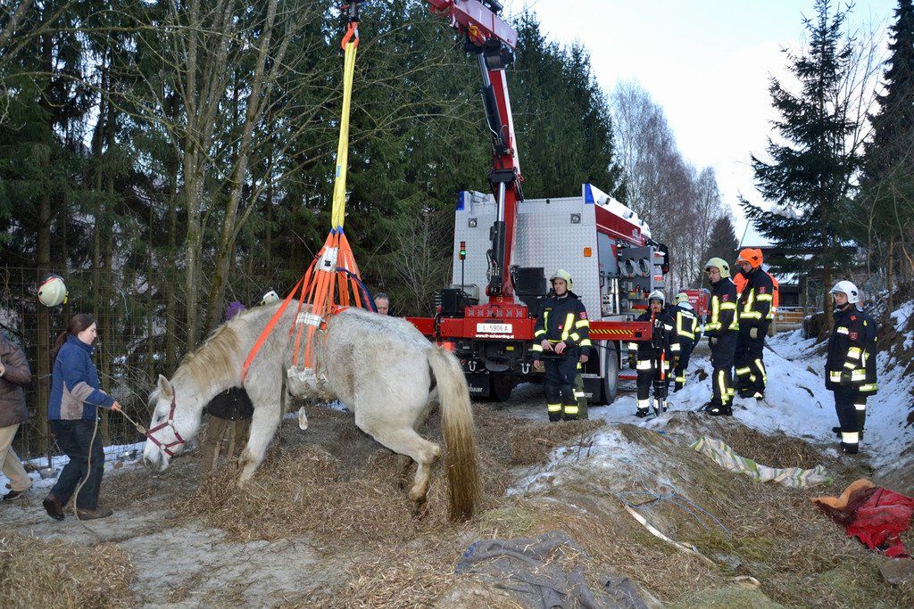 20120221_Tierrettung_Engelhartszell_02_k.jpg