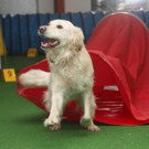5_Spa__ und Sport fuer Besitzer und Hunde.jpg