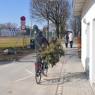 christbaumabgabe_jpg-1329924235