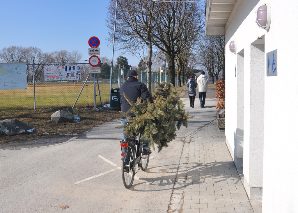 christbaumabgabe_jpg-1329924235