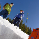 P1000763 _Large_.JPG