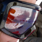 P1000783 _Large_.JPG
