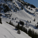 P1000792 _Large_.JPG