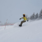 IMG_8415.jpg