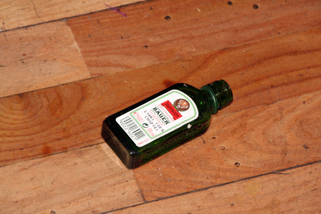 Schalmeienparty 2012 _448_.JPG
