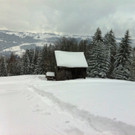 IMG_1166.JPG